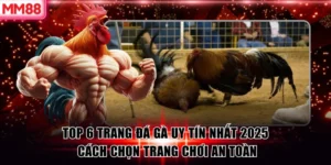 Top 6 Trang Đá Gà Uy Tín Nhất 2025 – Cách Chọn Trang Chơi An Toàn