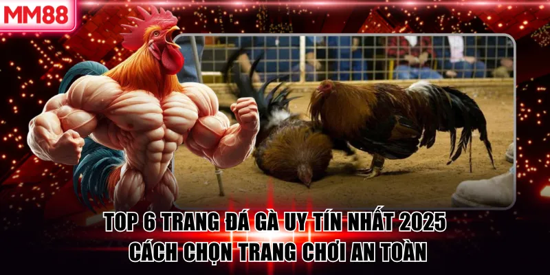 Top 6 Trang Đá Gà Uy Tín 2026 – MM88 Liệt Kê Trang An Toàn 5 Top 6 Trang Đá Gà Uy Tín Nhất 2025 – Cách Chọn Trang Chơi An Toàn