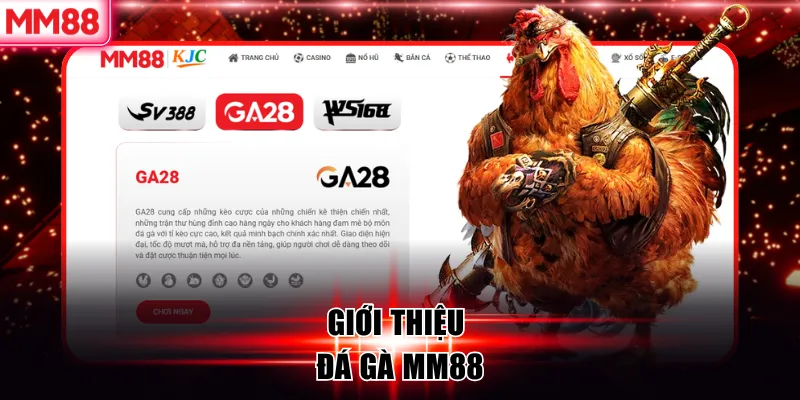 Đá Gà MM88 – Đấu Trường Cược Gà Trực Tuyến Đẳng Cấp Châu Á 5 Giới thiệu đá gà MM88